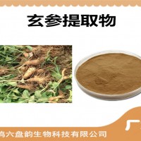 玄参提取物 玄参粉 植物提取物 可定制