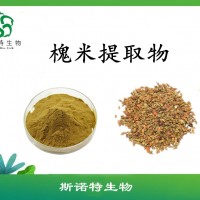 槐米提取物  槐米粉   斯诺特长期供应