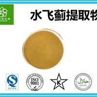 水飞蓟素80% 水飞蓟提取物 斯诺特集团工厂供应水飞蓟提取粉