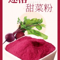 红甜菜速溶粉，红甜菜速溶颗粒