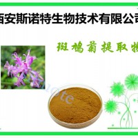 斑鸠菊提取物 粉末状 10:1 斯诺特生物