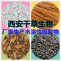 片姜黄提取物片姜黄浓缩粉片姜黄浸膏粉 厂家生产水溶性熟粉