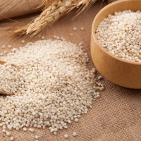 高粱米营养成分检测项目,高粱农药残留检测报告