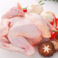 鸡肉抗生素检测项目,鸡肉兽药检测报告,鸡肉营养检测机构