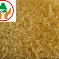 仿真营养米生产线工作原理
