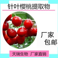 樱桃提取物 樱桃维C17%固体饮料原料源头厂家樱桃果汁粉