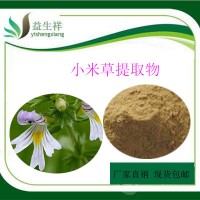 小米草黄酮 小米草提取物 小米草 粉 甘肃益生祥