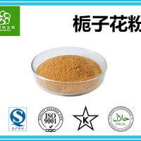 栀子花提取物 栀子花粉 10:1含量规格 斯诺特集团工厂供应