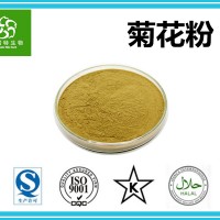 菊花粉 菊花浓缩粉 菊花浸膏粉 斯诺特集团工厂 供应