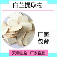 白芷提取物天瑞生产多种规格源头厂家白芷粉量大从优