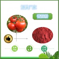 番茄粉固体饮料原料天瑞生产食品级番茄速溶粉