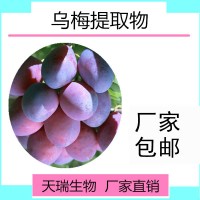 乌梅提取物食品原料批发天瑞厂家水溶乌梅粉