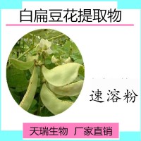 白扁豆花提取物 规格10:1 白扁豆花萃取粉 量大优惠 包邮