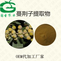 蔓荆子提取物 蔓荆子浓缩粉现货包邮原料批发