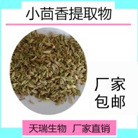 小茴香提取物食品原料批发天瑞厂家包邮小茴香粉