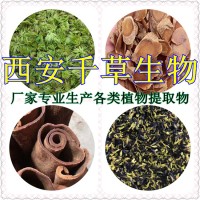 白叶火草提取物白叶火草浓缩粉浸膏粉 厂家生产混合萃取原液