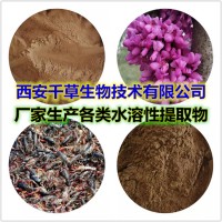 蔷薇果提取物蔷薇果浓缩粉蔷薇果浸膏粉