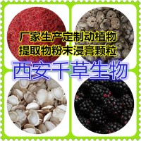 水溶性紫金牛提取物紫金牛浸膏粉 厂家供应多规格紫金牛浓缩原液