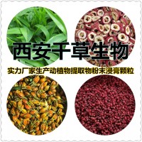 铁苋菜提取物 铁苋菜浸膏 铁苋菜浓缩粉 铁苋菜浓缩易溶颗粒