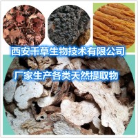 青防风提取物青防风浓缩粉青防风浸膏粉