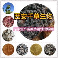 陈香薷提取物陈香薷浓缩粉陈香薷浸膏粉