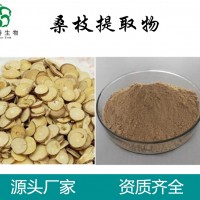 桑枝提取物  斯诺特生物  桑枝粉