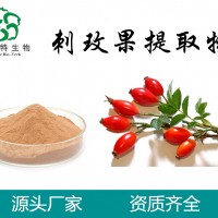 刺玫果提取物  多规格  水溶刺玫果粉   现货供应