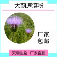 大蓟提取物天瑞生产源头厂家量大从优大蓟粉 大蓟浸膏