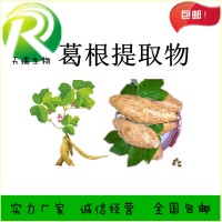 粉葛提取物比例提取食品级原料批发SC源头厂家粉葛速溶粉