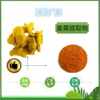 姜黄提取物天然着色剂姜黄素95%食品级原料