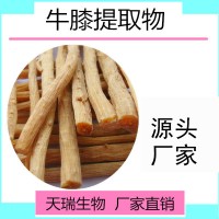 川牛膝提取物天瑞生产源头厂家牛膝多糖现货供应