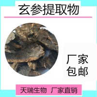 玄参提取物SC源头厂家玄参粉 玄参浸膏规格可定制