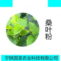 桑叶提取物10:1 水溶桑叶粉 桑叶黄酮含运费  代加工