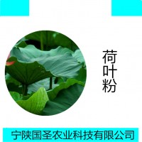 荷叶速溶粉 荷叶浸膏粉水溶性喷雾干燥粉 成品代加工