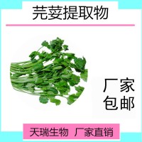 芫荽提取物食品原料SC源头厂家，多种规格芫荽粉香菜粉