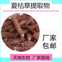 夏枯草提取物10:1多种规格SC源头厂家现货供应夏枯草速溶粉