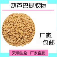 葫芦巴子提取物10:1天瑞源头厂家苦豆子粉 花卷调料