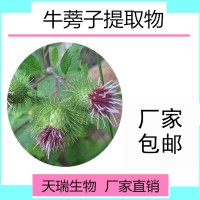 牛蒡子提取物SC源头厂家源1公斤起订牛蒡子粉牛蒡子多糖