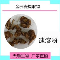 金荞麦提取物10:1天瑞源头厂家金荞麦块茎提取水溶金荞麦粉