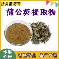 蒲公英提取物 工厂发货 蒲公英粉 水溶性好