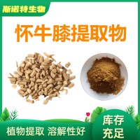 怀牛膝提取物 水溶牛膝多糖 厂家供应