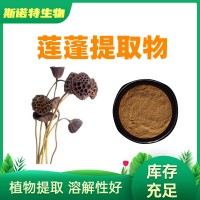 莲蓬提取物/莲房提取物10:1 莲房粉 厂家供应