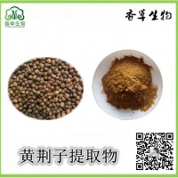 黄荆子提取物 速溶 布荆子浸膏粉 黄金子粉 五指柑浓缩液供应