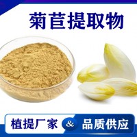 菊苣提取物菊粉 水溶性菊苣粉菊苣速溶粉 斯诺特生物