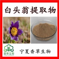 白头翁提取物10:1白头翁粉80目白头翁提取粉