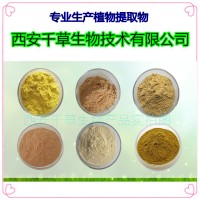 水溶性仙鹤草提取物仙鹤草浸膏粉 厂家供应多规格仙鹤草浓缩原液