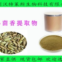 小茴香提取物 水溶性  量大从优