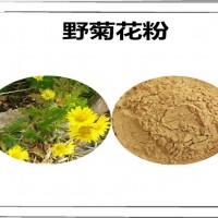 野菊花速溶粉 野菊花粉 水溶性好 喷雾干燥粉