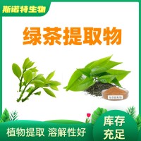 绿茶提取物 绿茶粉 Green Tea Extract茶多酚