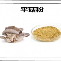 平菇浓缩粉 食品原料 平菇粉